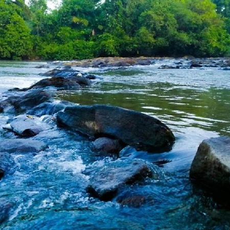 Bedda Eco Cottages Deniyaya Bagian luar foto