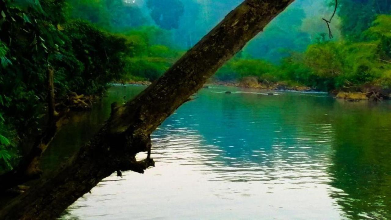 Bedda Eco Cottages Deniyaya Bagian luar foto