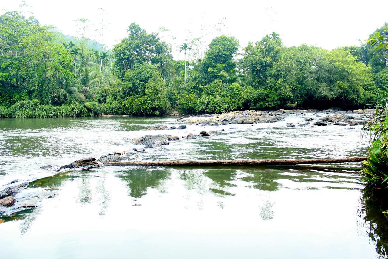 Bedda Eco Cottages Deniyaya Bagian luar foto