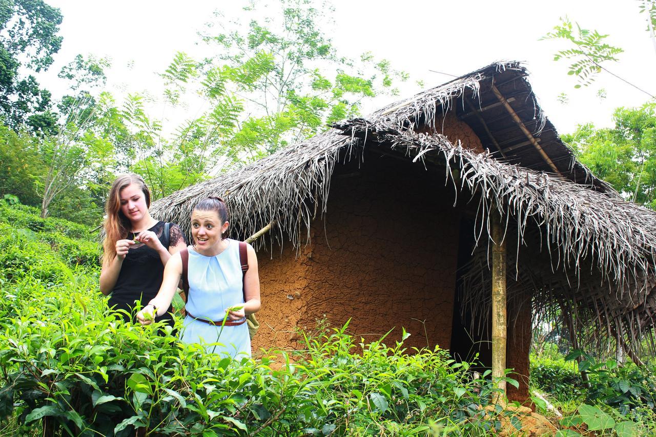 Bedda Eco Cottages Deniyaya Bagian luar foto