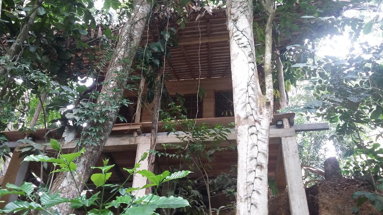 Bedda Eco Cottages Deniyaya Bagian luar foto