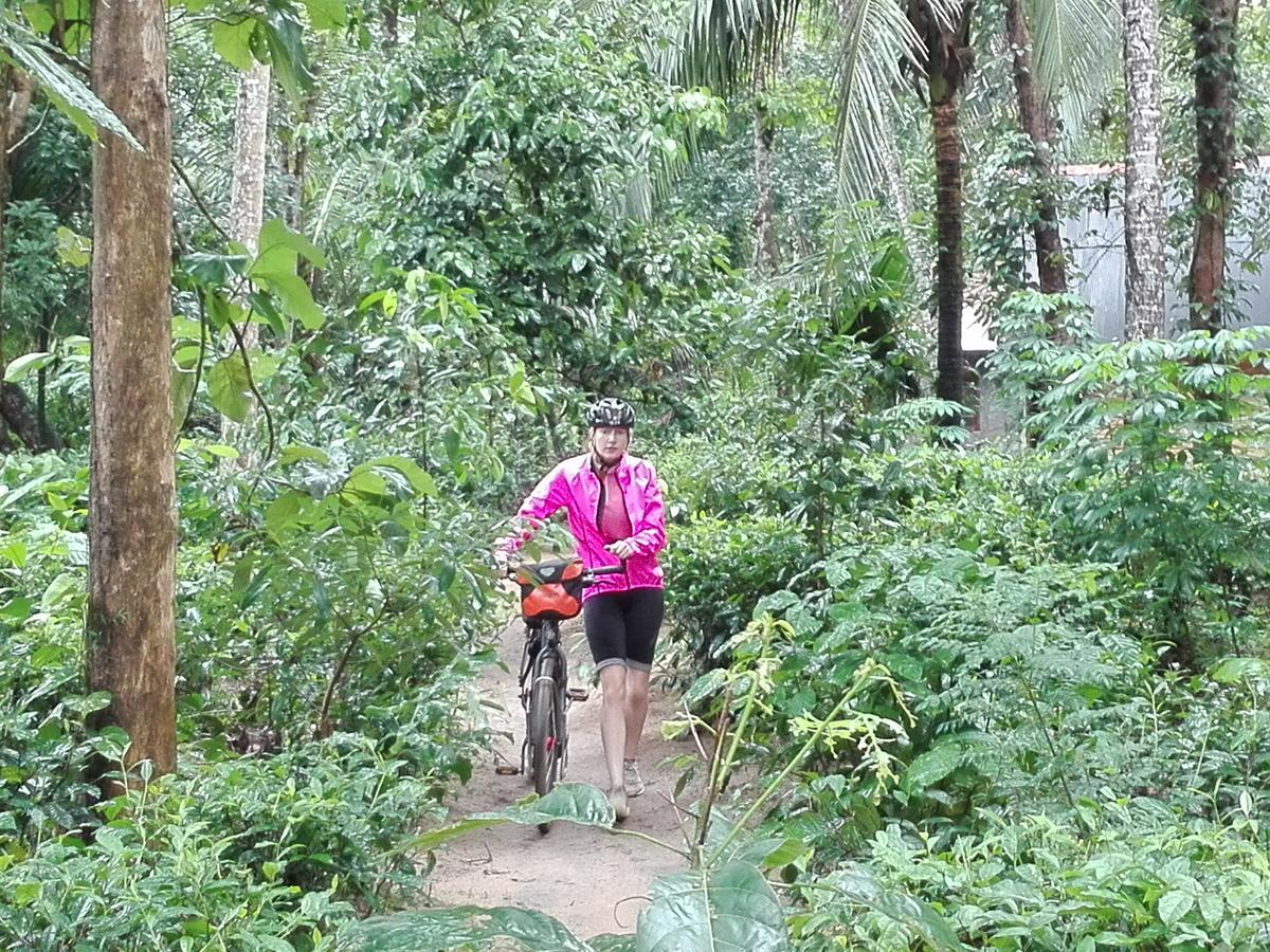 Bedda Eco Cottages Deniyaya Bagian luar foto