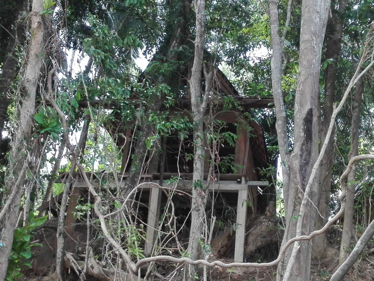 Bedda Eco Cottages Deniyaya Bagian luar foto